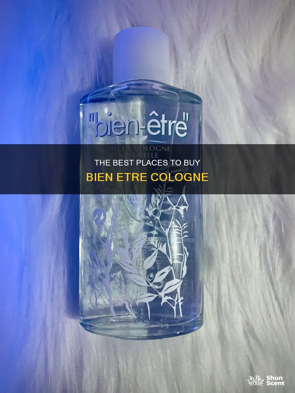 where to buy bien etre cologne