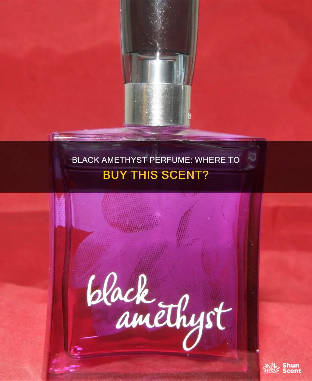 where to buy black amethyst perfume
