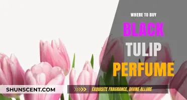 Black Tulip Perfume: Where to Buy the Scent
