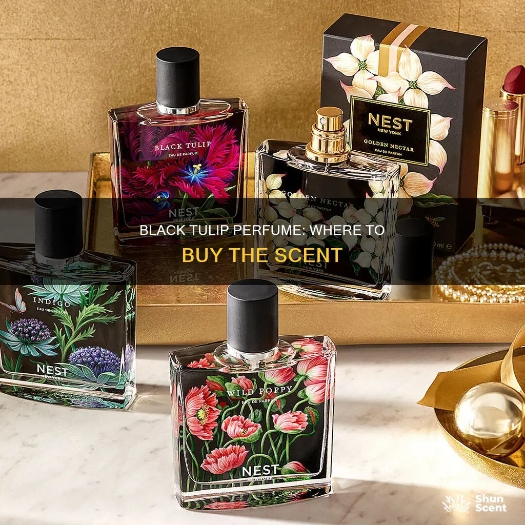 where to buy black tulip perfume