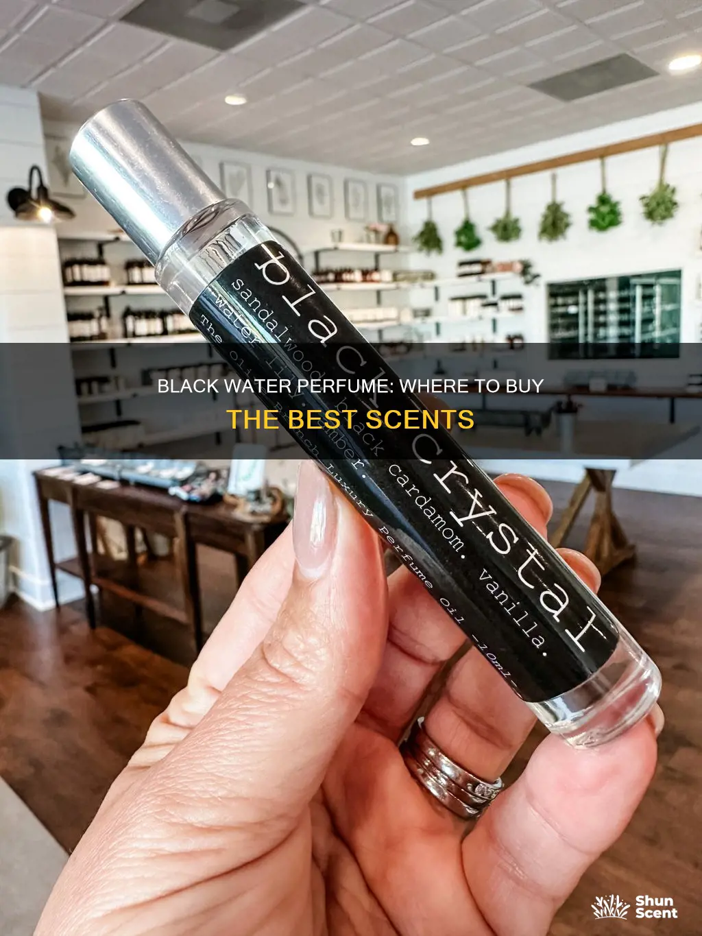 where to buy black water perfume