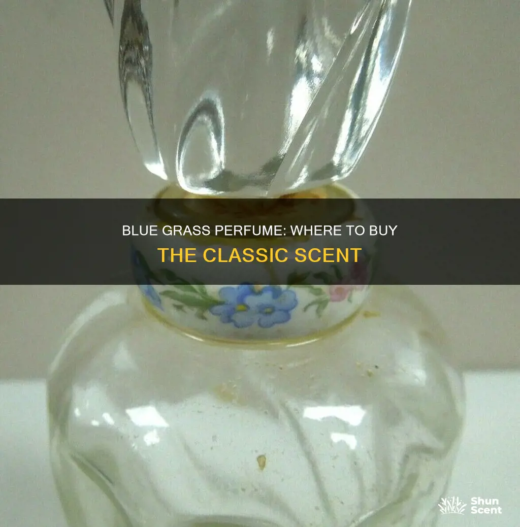 where to buy blue grass perfume