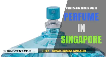 Buy Britney Spears Perfume in Singapore: Where to Shop