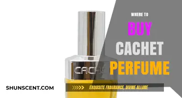 Best Retailers to Buy Cachet Perfume