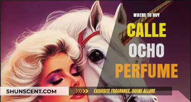 Best Places to Buy Calle Ocho Perfume