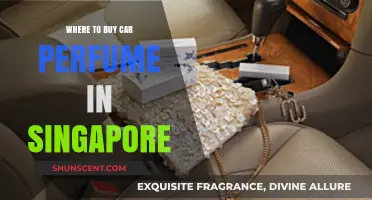 Best Car Perfumes: Singapore Shopping Guide