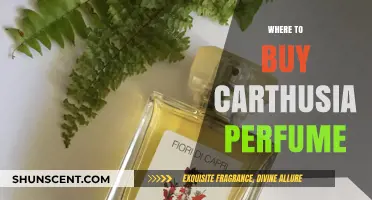 The Best Places to Buy Carthusia Perfumes