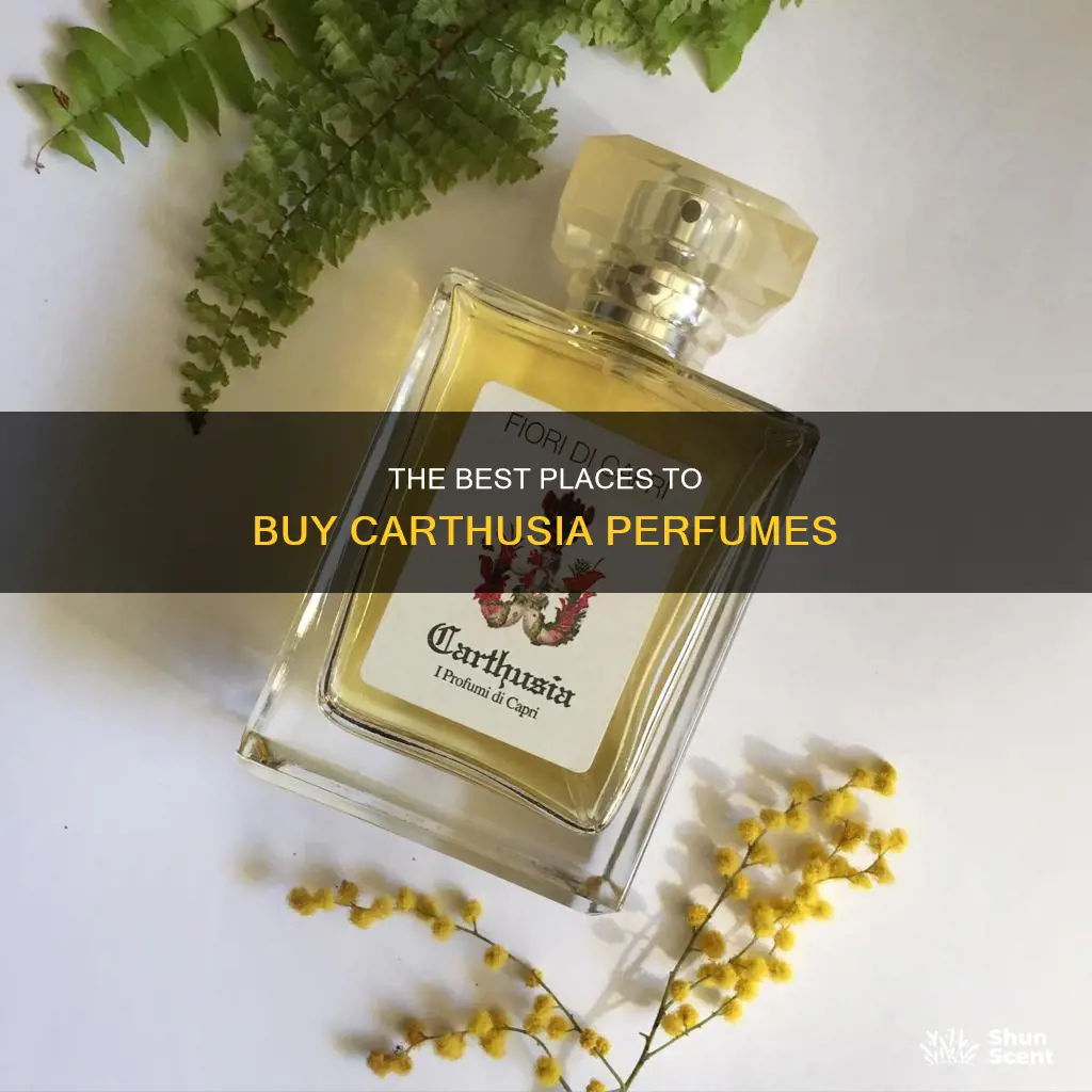 where to buy carthusia perfume