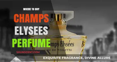 Champs Elysees Perfume: Where to Buy the Scent of Paris