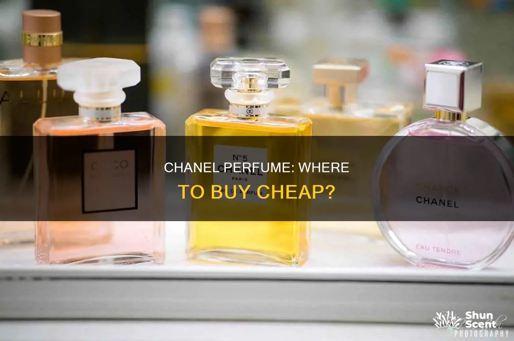 where to buy chanel perfume cheap