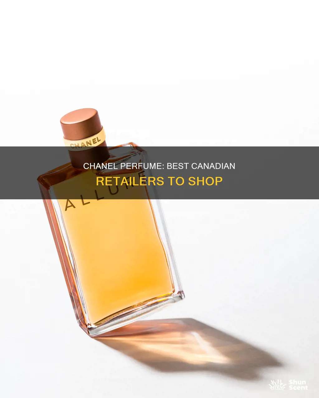 where to buy chanel perfume in canada