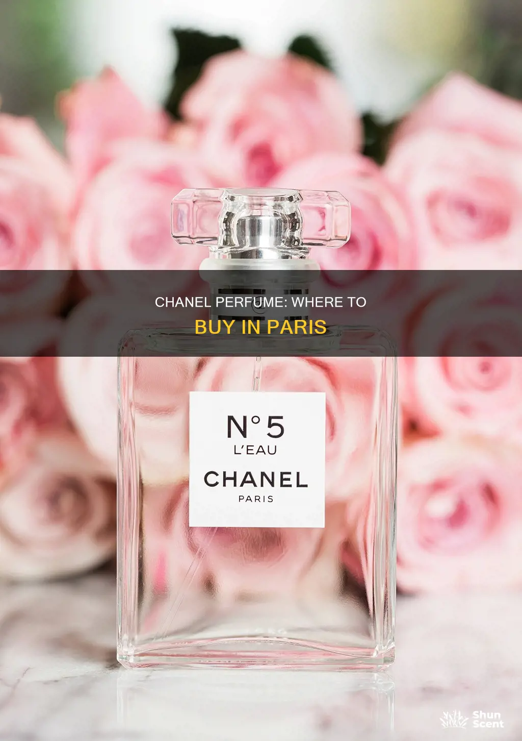 where to buy chanel perfume in paris