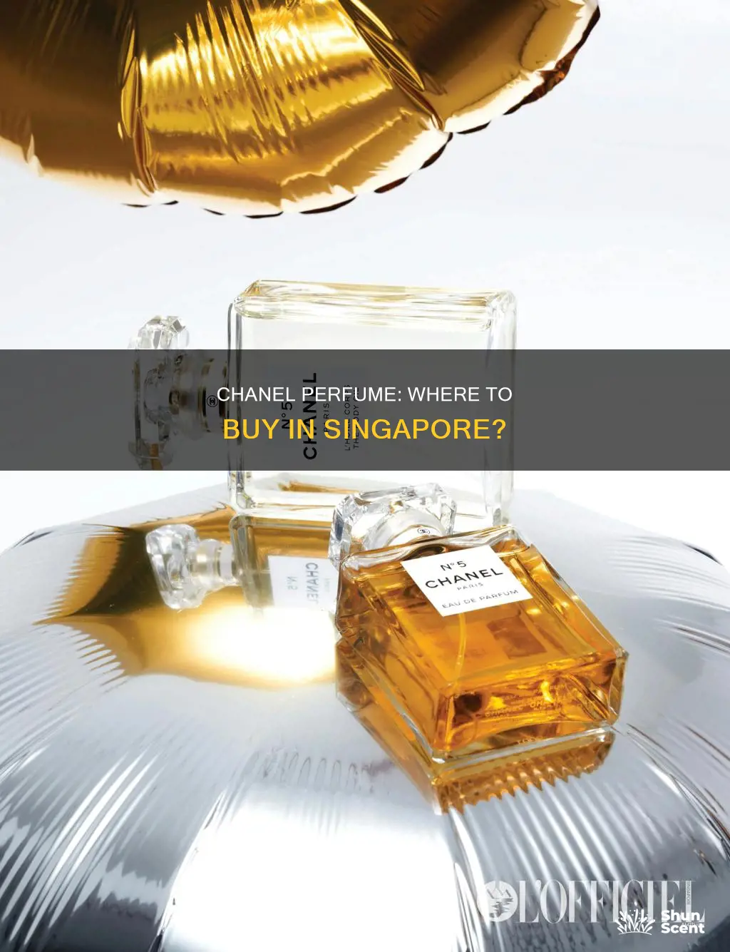 where to buy chanel perfume sg