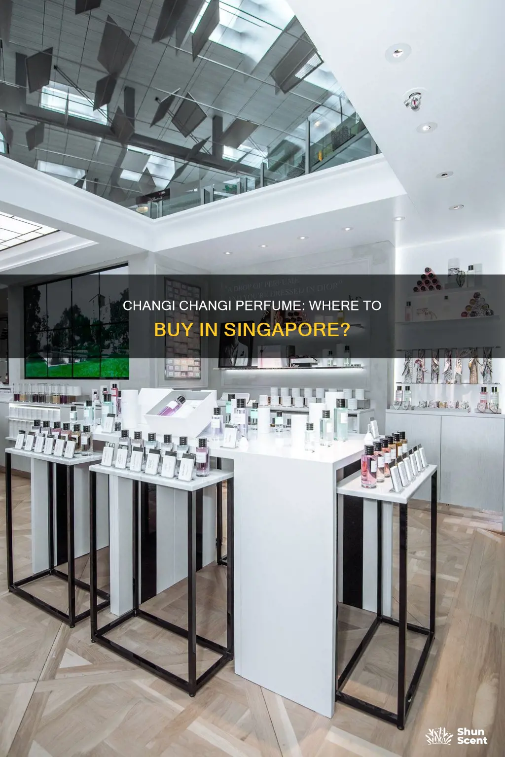 where to buy changi changi perfume in singapore
