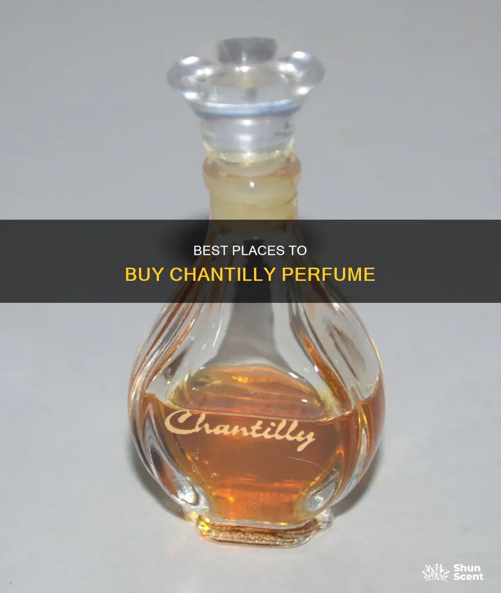 where to buy chantilly perfume