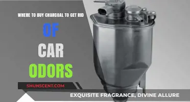 Effective Charcoal Options for Eliminating Car Odors