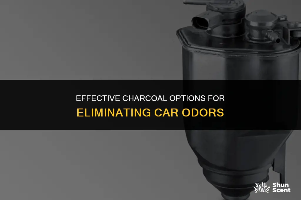 where to buy charcoal to get rid of car odors