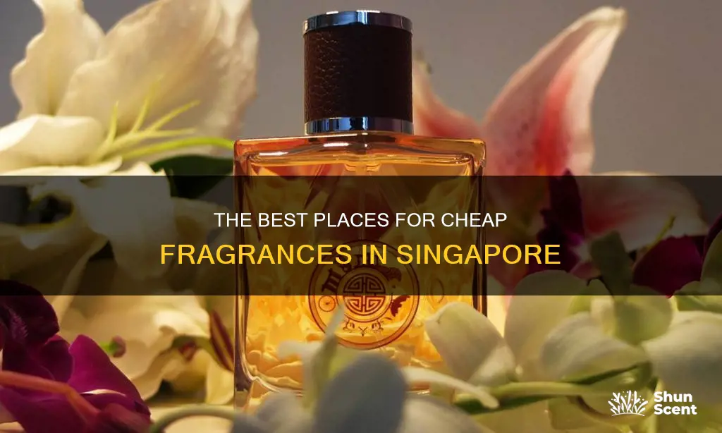 where to buy cheap fragrances in singapore
