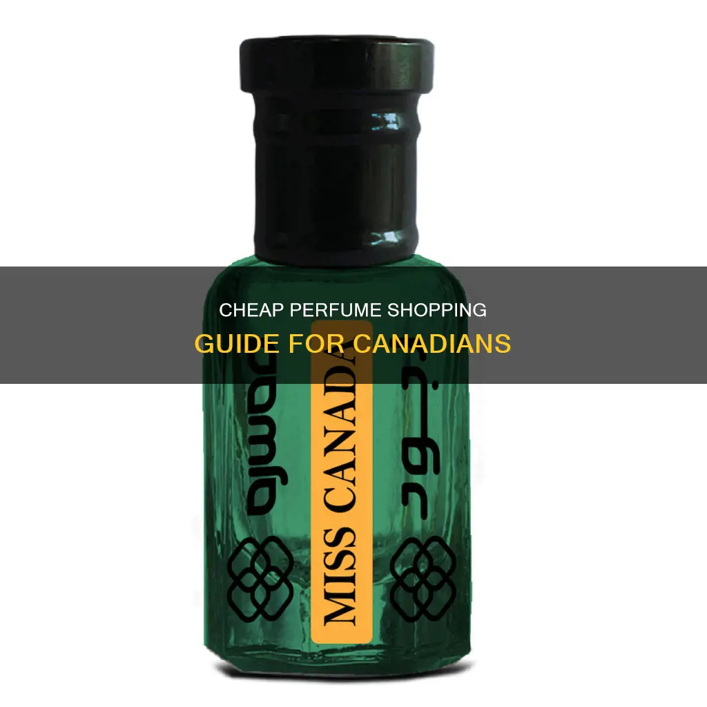 where to buy cheap perfume in canada