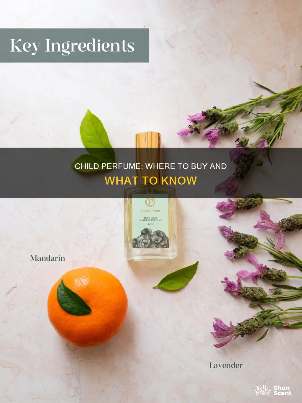 where to buy child perfume