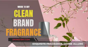 Explore Clean Fragrance: Where to Buy the Brand's Scents