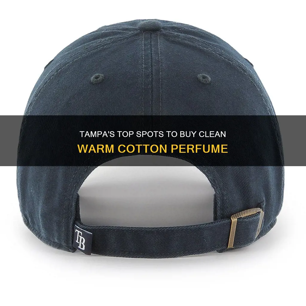 where to buy clean warm cotton perfume tampa fl