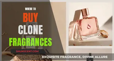 Clone Fragrances: Where to Buy the Best Dupes