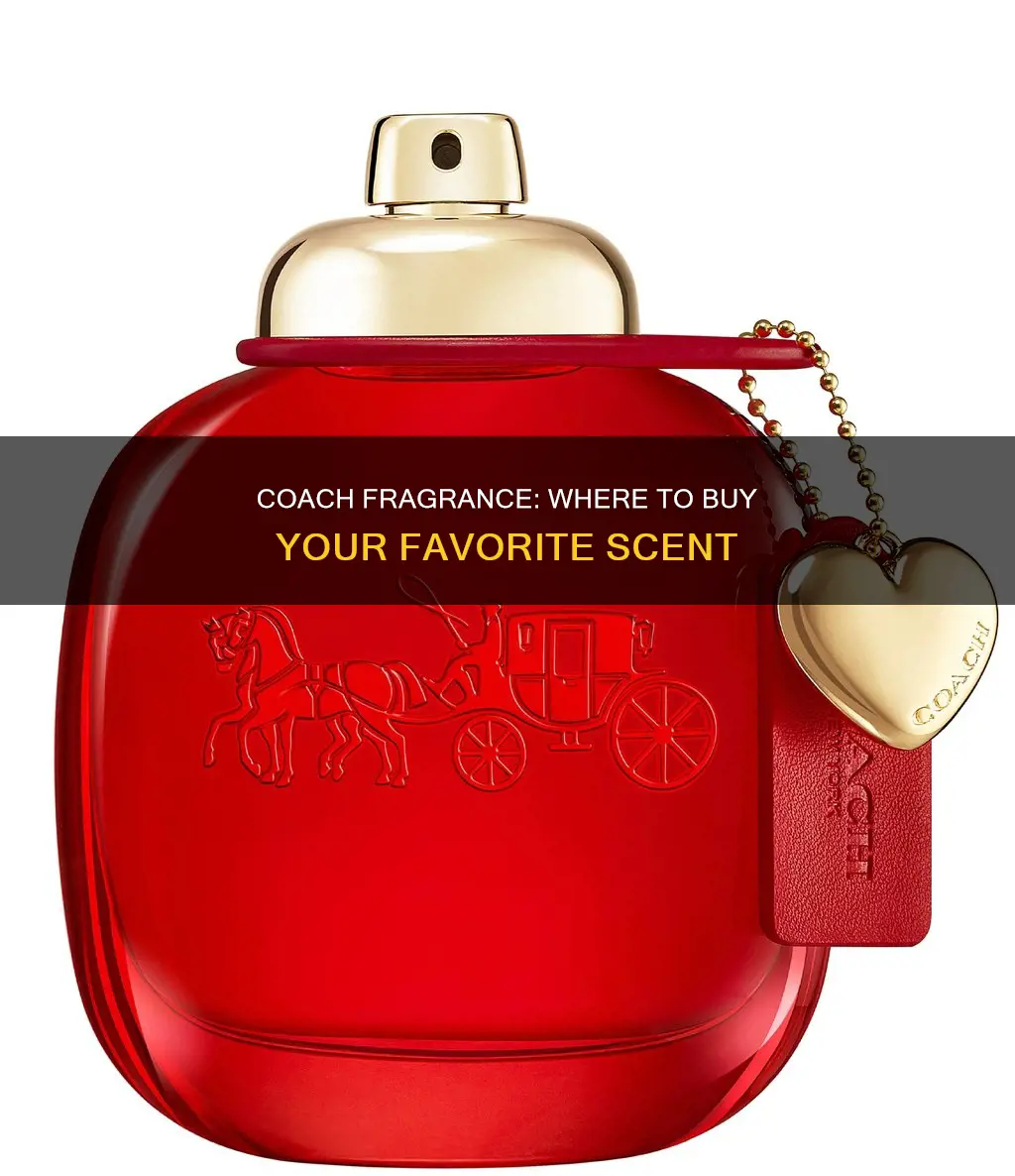 where to buy coach fragrance