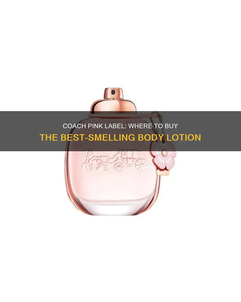 where to buy coach perfume pink label body lotion