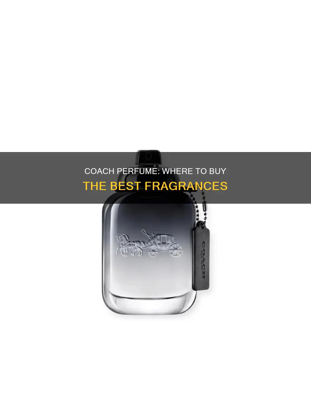 where to buy coach perfume