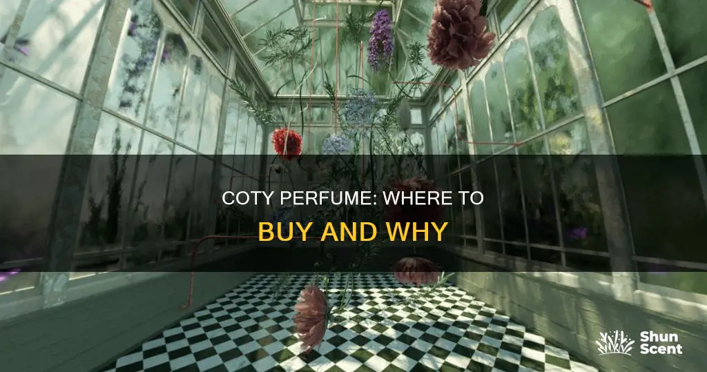 where to buy coty perfume