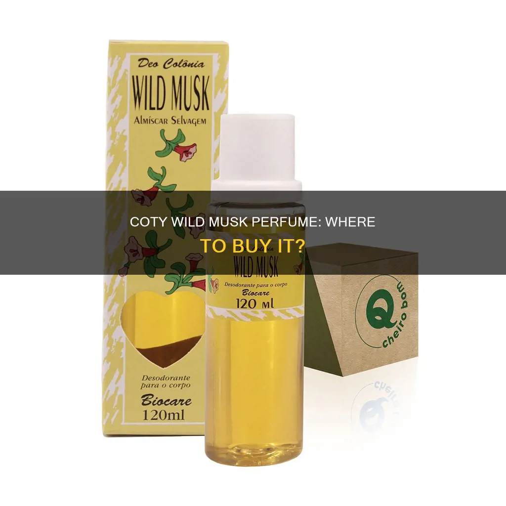 where to buy coty wild musk perfume