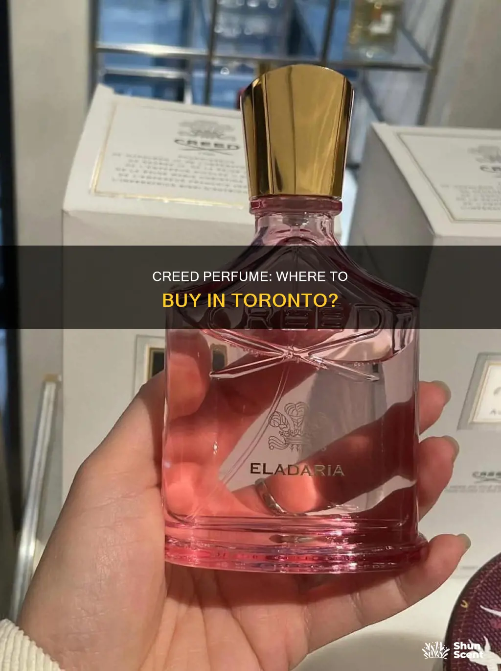 where to buy creed perfume in toronto
