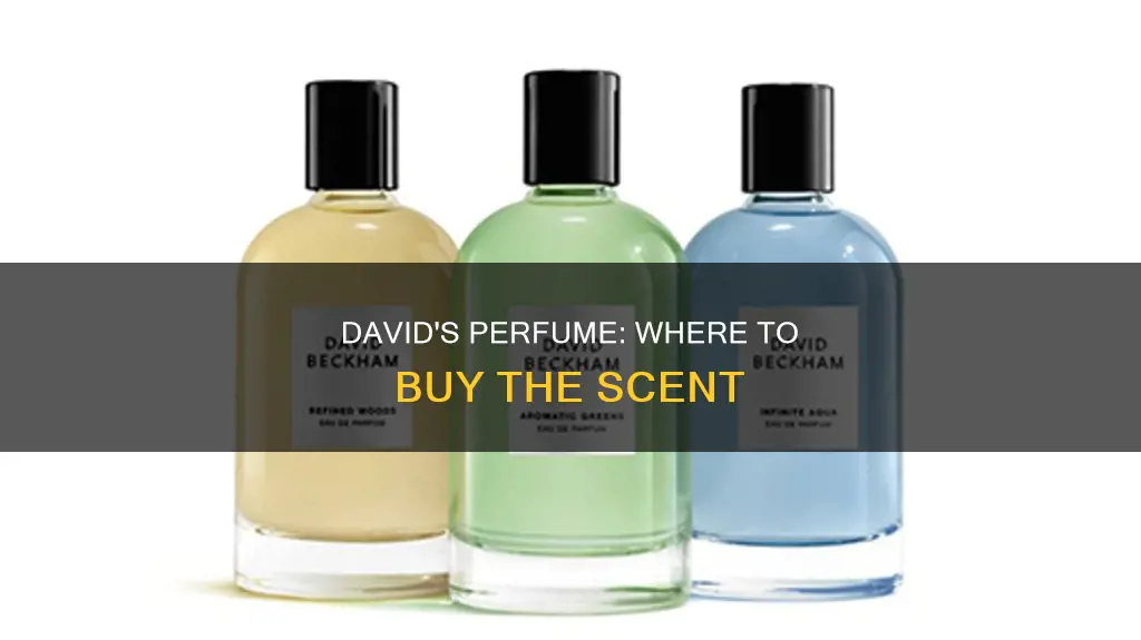 where to buy david