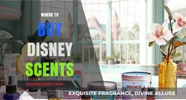 Discover Magical Disney Scents: Top Retailers for Authentic Aromas