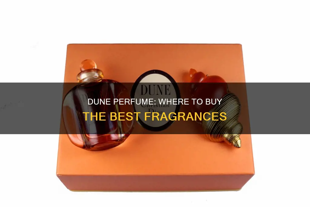 where to buy dune perfume