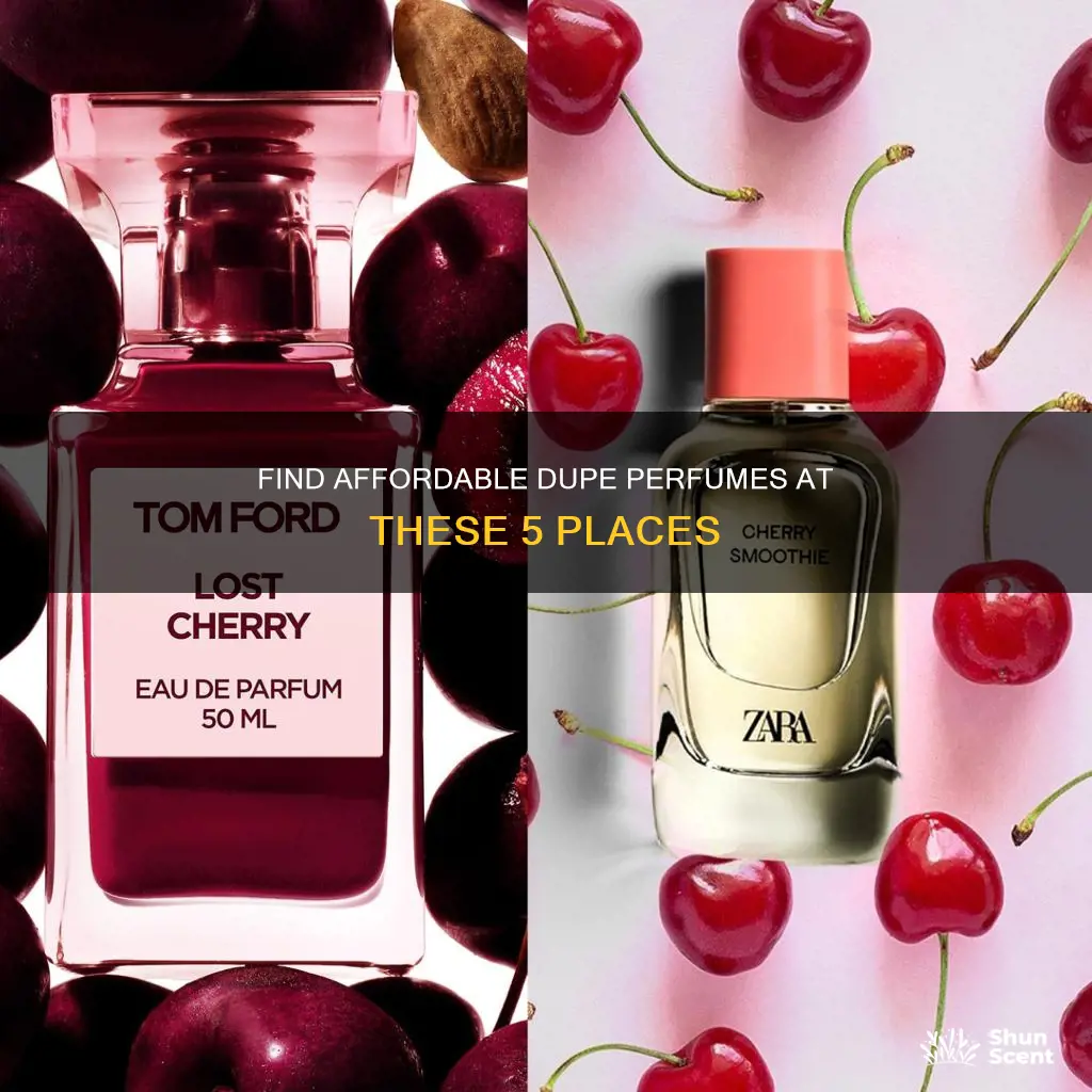 where to buy dupe perfumes