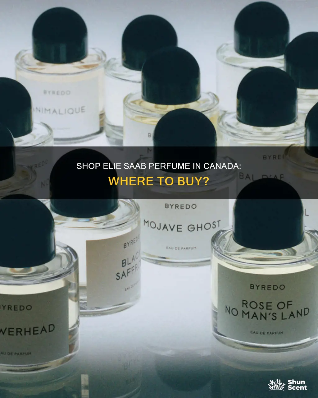 where to buy elie saab perfume in canada
