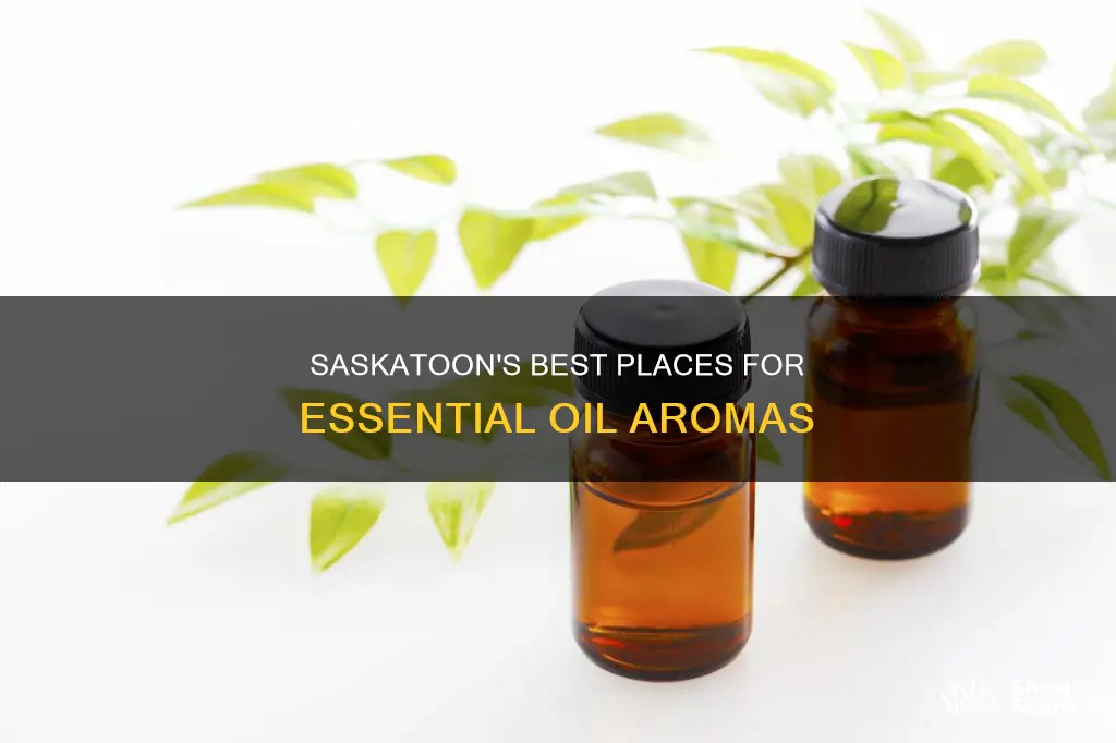 where to buy essential oil aroma they in saskatoon