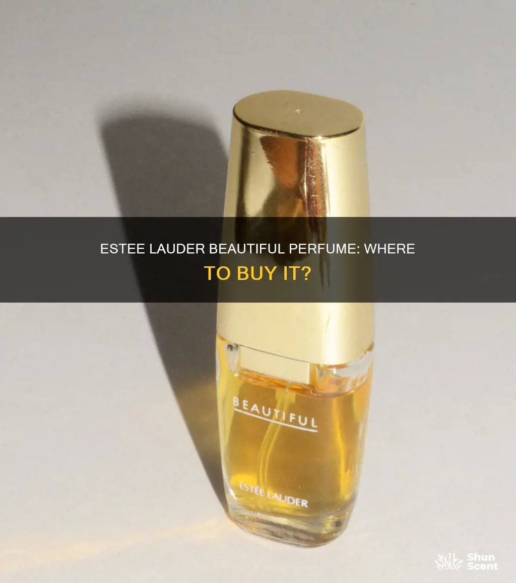 where to buy estee lauder beautiful perfume