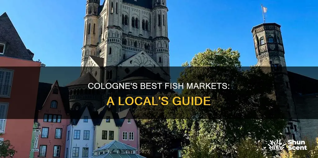 where to buy fish in cologne