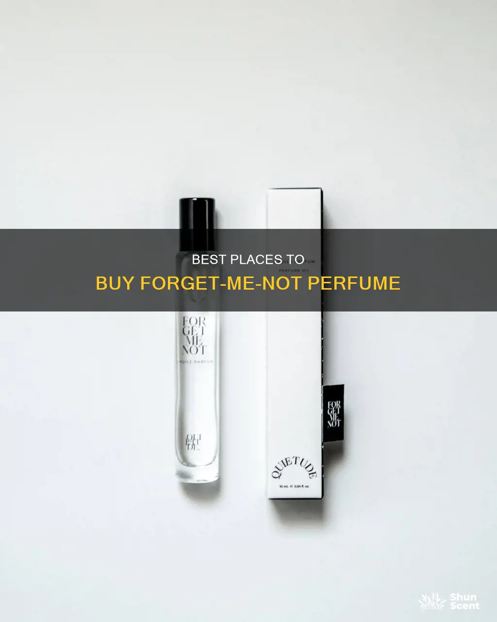 where to buy forget me not perfume