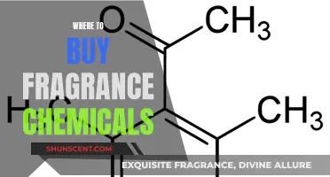 Explore the Best Sources to Buy Fragrance Chemicals