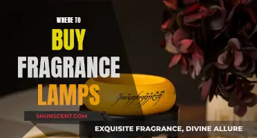Scented Spaces: Buying Fragrance Lamps