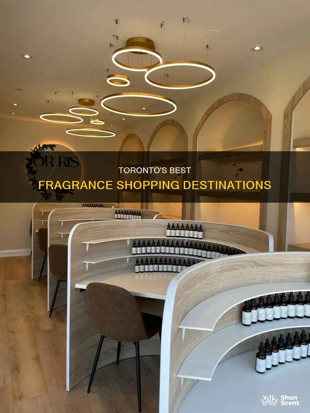 where to buy fragrances in toronto