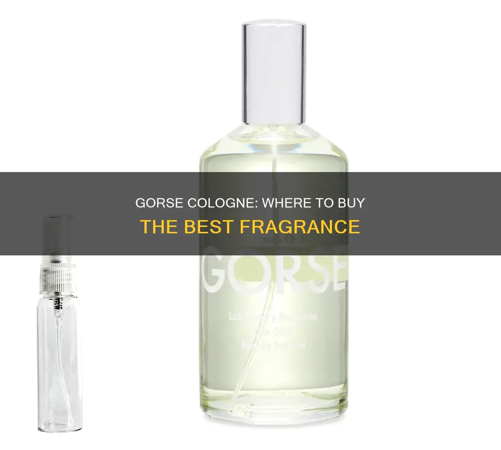 where to buy gorse cologne