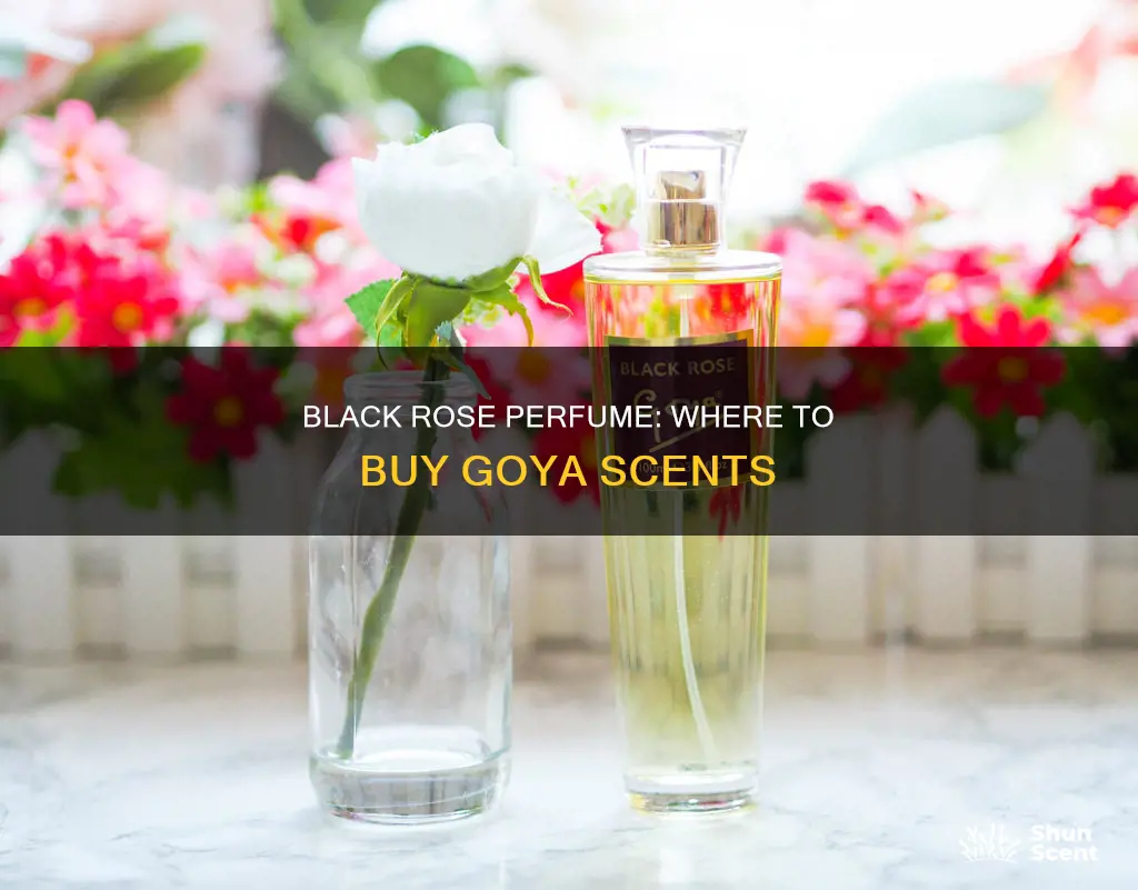 where to buy goya black rose perfume