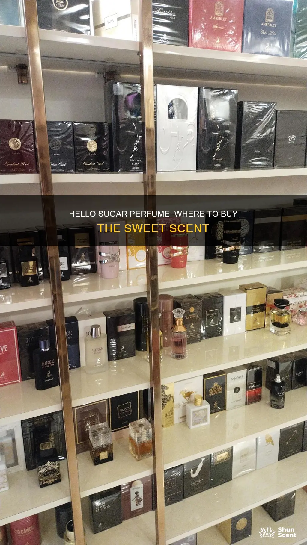 where to buy hello sugar perfume