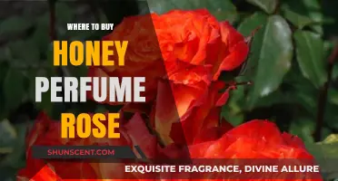 Honey Perfume Rose: Where to Buy the Sweetest Scents