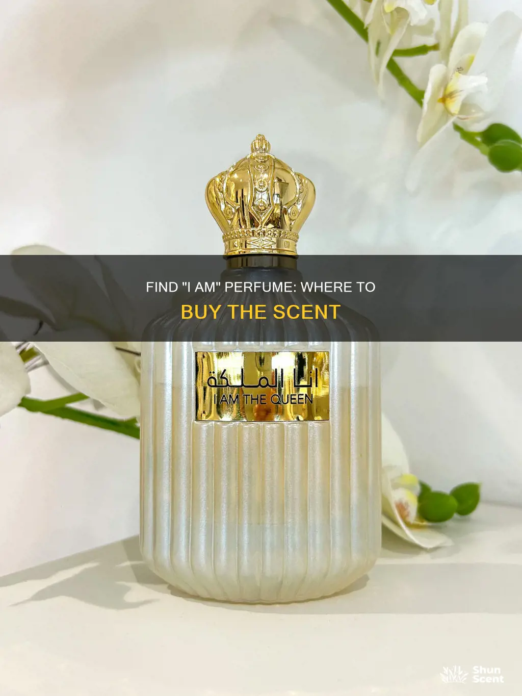 where to buy i am perfume